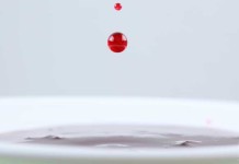 A Blood Spot Detects the Age