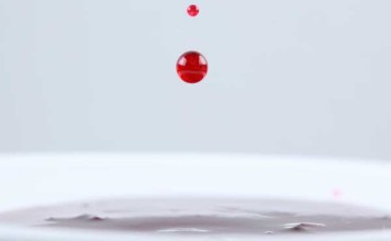 A Blood Spot Detects the Age