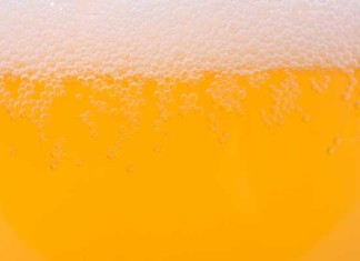 Beer Prevents Osteoporosis