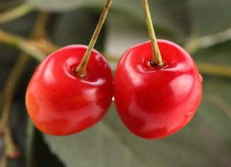 Best Foods to Eat after 40