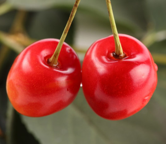 Best Foods to Eat after 40