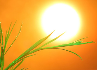 8 Sunscreen Facts to Know When on the Beach