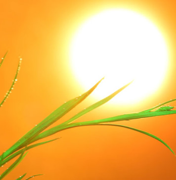 8 Sunscreen Facts to Know When on the Beach