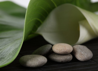 Gallstone Disease Information & Treatment