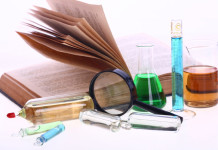 Your Brain Is not Divided into Two Hemispheres