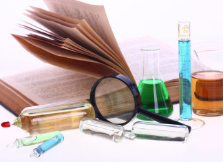 Your Brain Is not Divided into Two Hemispheres