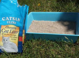 Craziest Beauty Ingredients & Treatments