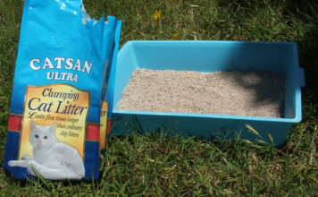 Craziest Beauty Ingredients & Treatments