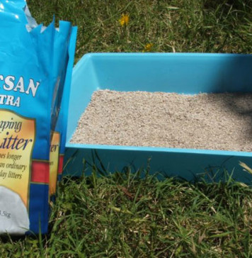 Craziest Beauty Ingredients & Treatments