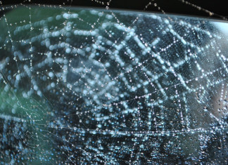 25 Survival Myths Busted