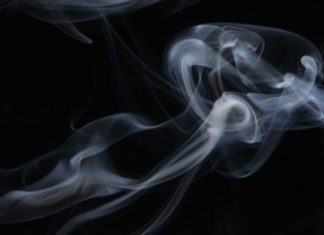 9 Weird Longevity Secrets