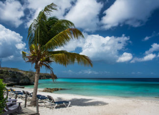 10 Mistakes Everybody Makes before Vacation