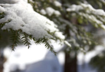 10 Ways to Avoid Cold & Flu