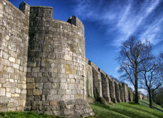 15 Facts You Believe Which Are Complete Nonsense