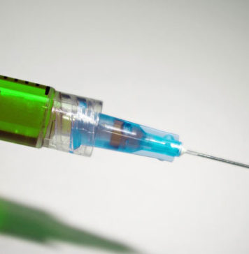 Immunoglobulins: The Guardians of Our Health