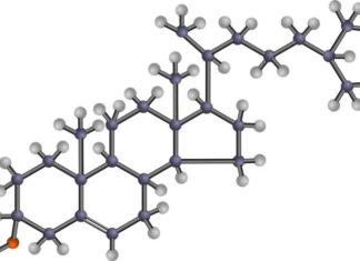 Stress, Diet and 12 More Surprising Reasons for High Cholesterol Levels