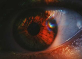 Nanoparticle-Based Injection Restores Vision