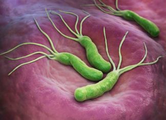 How to Get Rid of Helicobacter Pylori?