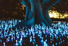 Scientists: Humans Will Be Immortal