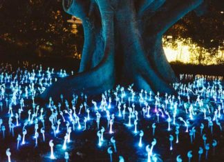 Scientists: Humans Will Be Immortal