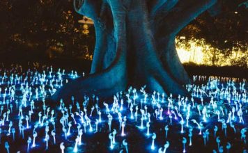 Scientists: Humans Will Be Immortal