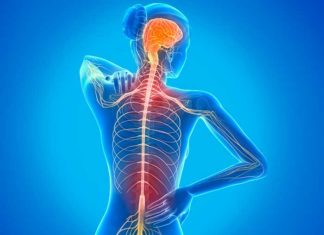 Multiple Sclerosis in Young People: Are You at Risk?