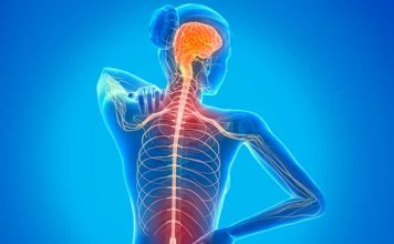 Multiple Sclerosis in Young People: Are You at Risk?