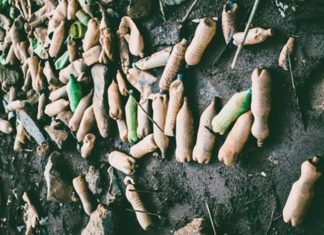 Is Plastic the Worst Environment’s Enemy?