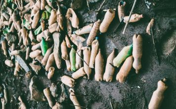 Is Plastic the Worst Environment’s Enemy?