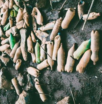 Is Plastic the Worst Environment’s Enemy?