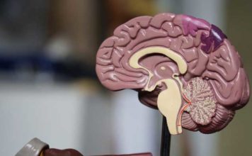 Robotic Worm to Perform Brain Surgery