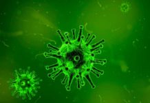 Coronavirus Outbreak Video