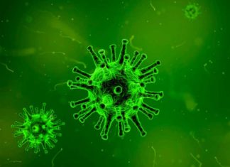 Coronavirus Outbreak Video