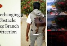 AI Visual Assistant for Visually Impaired People